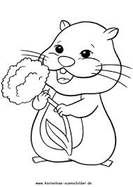 Ausmalbilder Zhu Zhu Pets Ausmalbild Hamster 5