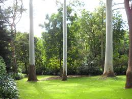 E G Waterhouse National Camellia Gardens Parks In Sydney Places To Go Tea House