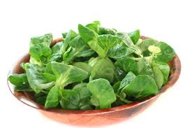 Feldsalat Ernten Tipps Tricks