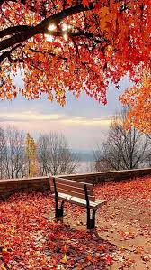 N Unal Hintergrundbilder Herbstlandschaft Landschaftsfotografie Naturbilder