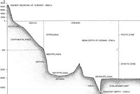 Pelagic Environment An Overview Sciencedirect Topics