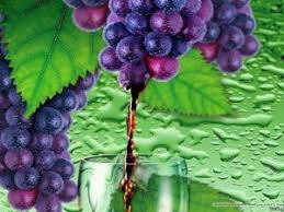 Wine In The Bible Bible Symbols