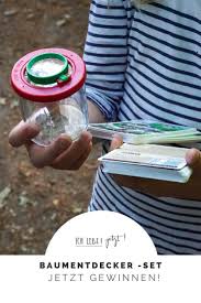 Mit Kindern In Den Wald Baumentdecker Gesucht Kinder Kindererziehung Drittes Kind