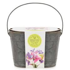 Christmas Gift Ideas For Your New In Laws Debenhams Grow Your Own Miniature Sweet Pea Planter Gifts For Inlaws Christmas Gifts Gifts