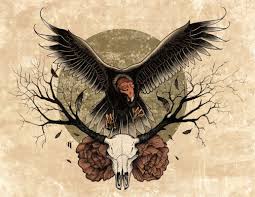 Inspiration For Straighten Up And Fly Right Art Vulture Culture Animal Art