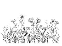 Field Of Wildflowers Sticker By Wildbloom Art White Background 3 X3 In 2020 Wildflower Drawing Botanical Line Drawing Flower Drawing