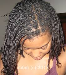 The Mini Braid Method Braided Hairstyles Natural Hair Styles Hair Styles
