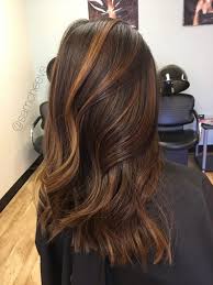 Image Result For Medium Length Dark Brown Hair With Highlights Lowlight Dark Hair With Highlights Brown Hair With Highlights Brown Hair With Caramel Highlights