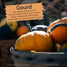 Gourd Nerdswholovewords Wordoftheday Photo By Aaronburden On Unsplash Noun Gawrd Gohrd Goo Rd Definition The Hard S Stuffed Shells Nouns Word Nerd
