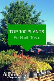 Top 100 Plants For North Texas Texas Landscaping Plants Landscaping Tips