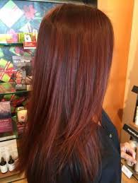 Deep Red Hair Aveda Color Deep Red Hair Hair Color Auburn Aveda Hair Color