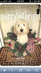 Pin By Tracy Pohlen On All I Want For Christmas Dog Christmas Pictures Dog Christmas Card Christmas Card Photo Ideas With Dog