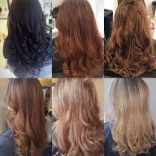 Image Result For Black To Blonde Hair Stages Black To Blonde Hair Hair Stages Blonde Color