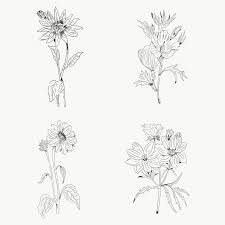 Download Premium Png Of Hand Drawn Wildflowers Collection Transparent Png In 2020 Sunflower Illustration Sunflower Drawing Flower Illustration