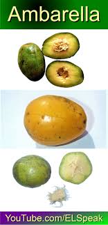 Ambarella Fruits Name In English Fruit Fruit List