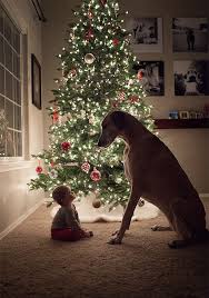22 Little Kids And Their Big Dogs Big Dogs Animals Cute Animals