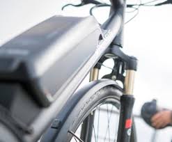 Pegasus Fahrrad Sauer