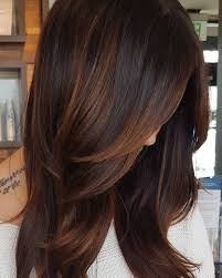60 Hairstyles Featuring Dark Brown Hair With Highlights Brown Hair With Highlights Dark Hair With Highlights Hair Styles