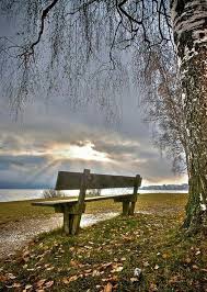 Lovely Garden Bench Nature Wallpaper Mystery Pictures