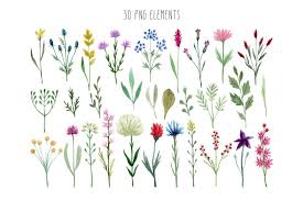 Watercolor Wildflowers Flower Pattern Drawing Wildflower Drawing Watercolor Flowers Paintings