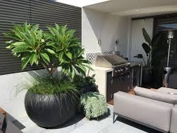 Like The Potted Frangipani And The Cascading Succulent Plant In Smaller Pot Vertical Garden Diy Rooftop Garden Garden Design