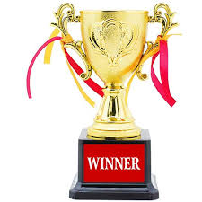 award cricket cup trophy for sports rs 600 piece h k enterprises id 21433770462 award cricket cup trophy