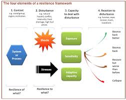 What Is Disaster Resilience Gsdrc