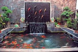 085607109769 Tukang Kolam Ikan Koi Kalimantan Timur Balikpapan Spesialis Jasa Pembuat Kolam Tebing Tukang Filter Kolam Air Ma Kolam Ikan Desain Lanskap Taman