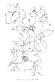 Flower Drawings Spring 2019 Blushed Design Flower Drawing Pencil Drawings Of Flowers Floral Drawing