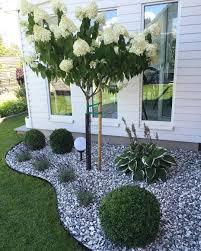 39 Cheap And Easy Diy Garden Ideas Everyone Can Do Homeridian Com Front Yard Landscaping Design Small Backyard Landscaping Backyard Landscaping
