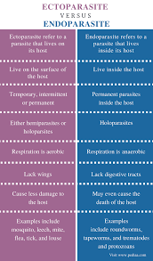 Difference Between Ectoparasite And Endoparasite Definition Features Examples Similarities Similarities And Differences Similarity Symbiotic Relationships