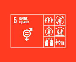 Goal 5 Gender Equality The Global Goals Gender Equality Equality Social Development