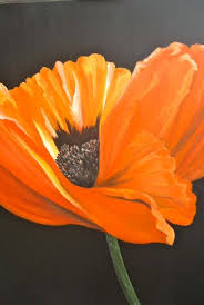 Anneke Janszen Orange Poppy Sterk Uitvergrote Papaver In Olieverf Op Canvas Met Zwarte Achtergrond Kunstbloemen Geschilderde Bloemen Bloemenschilderijen