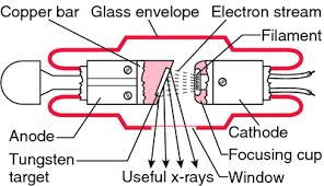 X Rays Definition Of X Rays By Medical Dictionary Radiology Humor Radiology Student Radiology Schools