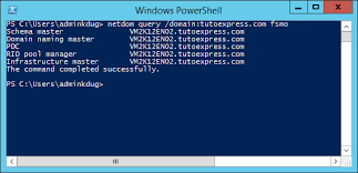 Active Directory How To Transfer Fsmo Roles