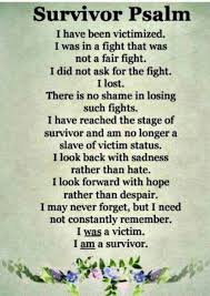 Will The Real Victim Please Stand Up In 2020 Survivor V Words Choices And Consequences