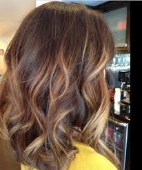 Top 30 Balayage Hairstyles To Give You A Completely New Look Cute Diy Projects Hair Styles Short Hair Balayage Balayage Hair