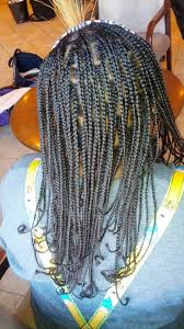 Small Plait Braids No Weave All Natural Hair Natural Hair Styles Fine Natural Hair Natural Hair Braids