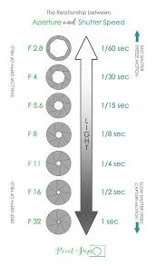 Camera Exposure Meaning In Plain English Learn The Definition Of Exposure How Aperture An Photography Basics Digital Photography Lessons Photography Lessons