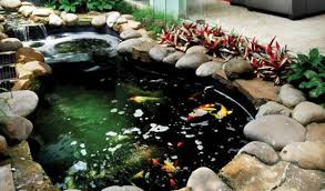 40 Gambar Kolam Ikan Minimalis Kolam Ikan Koi Kolam Ikan Hias Dan Taman Kolam Ikan Desainrumahnya Com Kolam Ikan Kolam Taman Air
