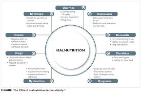 Pin On Geriatric Education