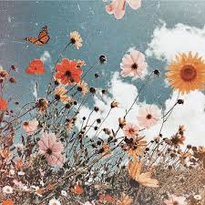 Pinterest Eydeirrac Flower Aesthetic Aesthetic Backgrounds Cute Wallpaper Backgrounds