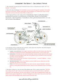 Verkehrserziehung Grundschule Sachunterricht Verkehrserziehung Grundschule Verkehrserziehung Fahrradprufung Grundschule