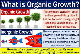 What Is Organic Growth Market Business News