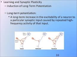 Pin By Jk H On Learn Teaching Psychology Third Grade Science Classroom Ap Psychology