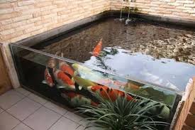 Koi Pond Koifishponds Koi Pond Design Ponds Backyard Indoor Pond