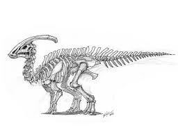 1 656 Vind Ik Leuks 8 Reacties Shaun Keenan Shaunmichaelkeenan Op Instagram Parasaurolophus Skeleton Ha Dinosaur Sketch Skeleton Drawings Dinosaur Art