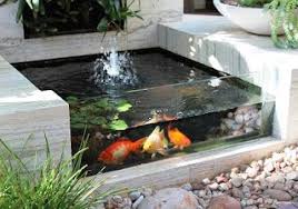 Cara Membangun Kolam Ikan Hiasan Mini Kolam Ikan Halaman Belakang Kecil Ide Berkebun