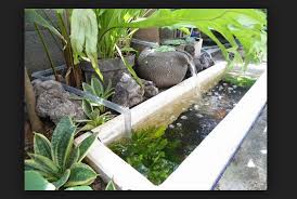 Cara Membuat Kolam Ikan Sederhana Di Halaman Rumah