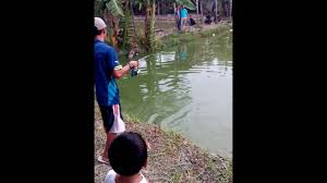Mancing Kakap Di Sungai Surabaya By Deha Artbi